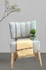 Soft Swati Dhussa Shawl