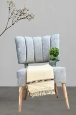 Swati Dhussa Shawl Winter